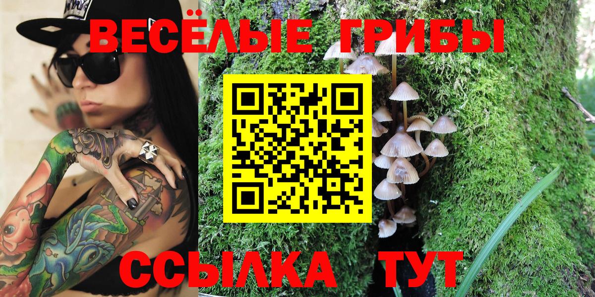 Галлюциногенные грибы прущие грибы Кимры